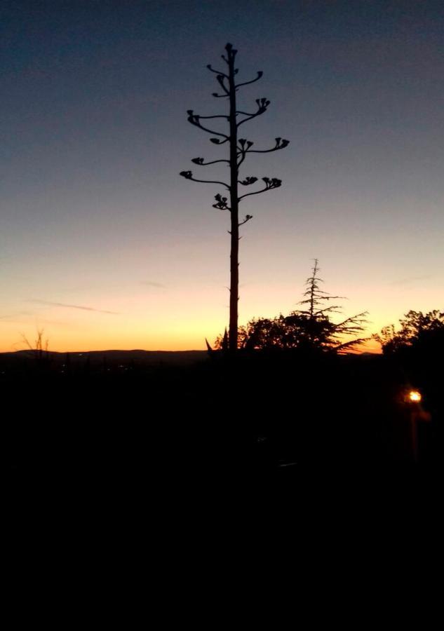 Agrifoglio Daire Pantalla Dış mekan fotoğraf